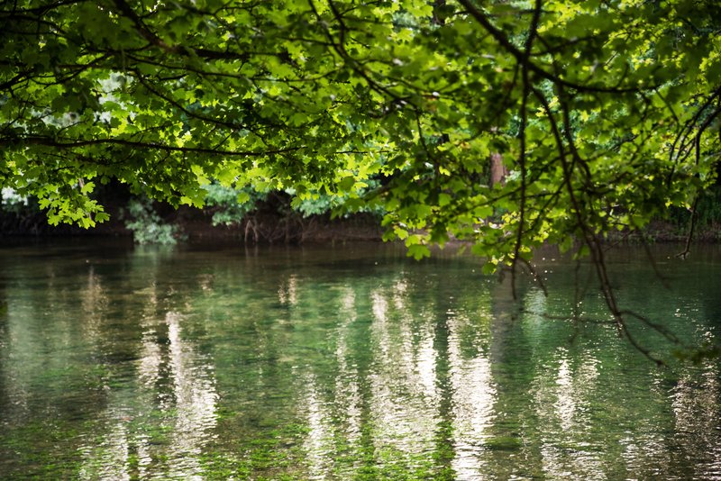 Ponižnost in hvaležnost